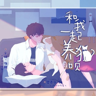 和我一起养猫呗
