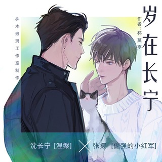 岁在长宁