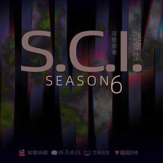 SCI谜案集 第六季