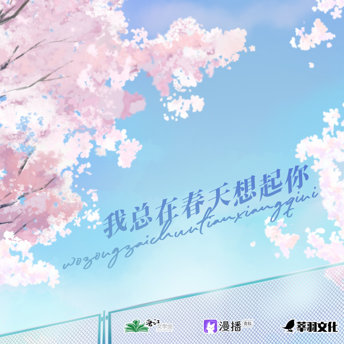 我总在春天想起你