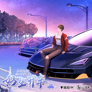 好生开车·全一季