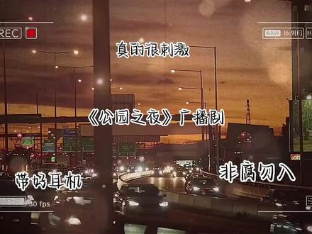 公园之夜