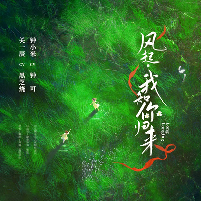风起,我知你归来