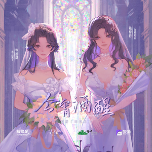 今宵酒醒 第一季