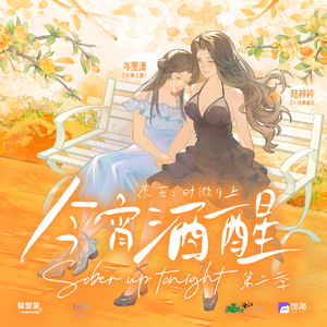 今宵酒醒 第二季