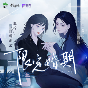 限定婚期 第一季