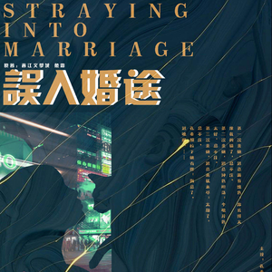 误入婚途 第一季