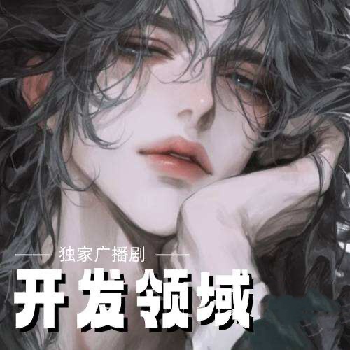 開發領域