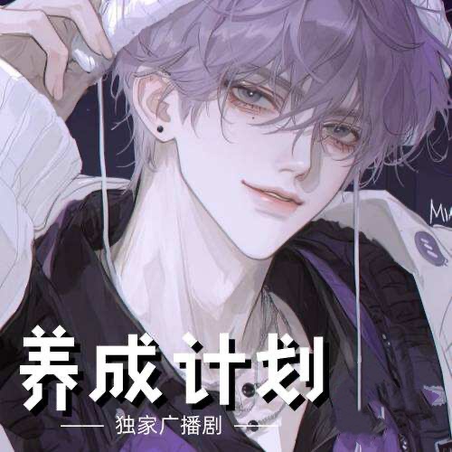 养成计划