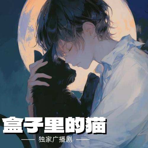 盒子里的猫