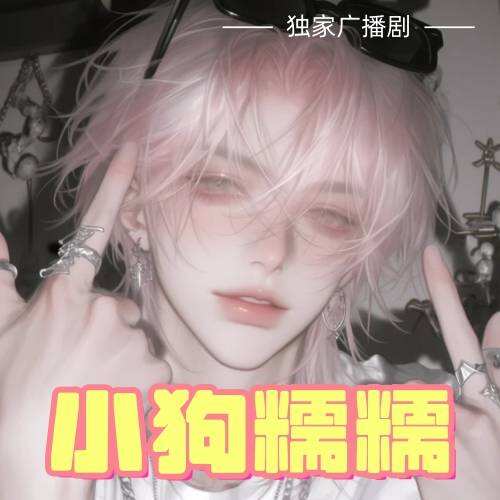 小狗糯糯