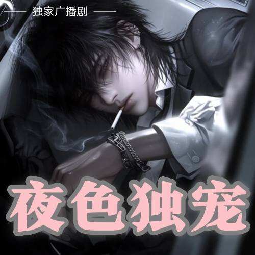 夜色独宠