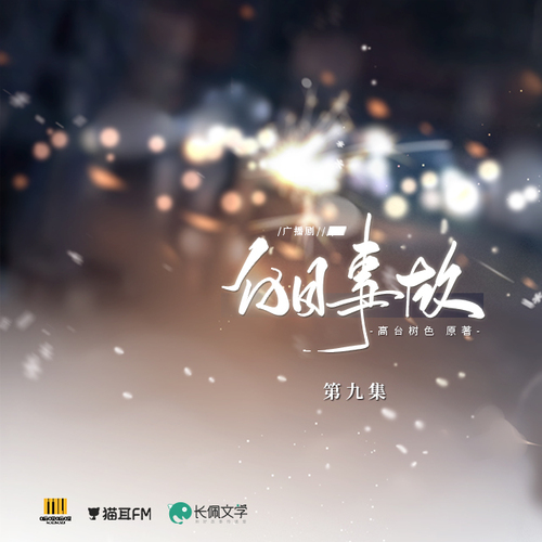 第九集 - 白日事故