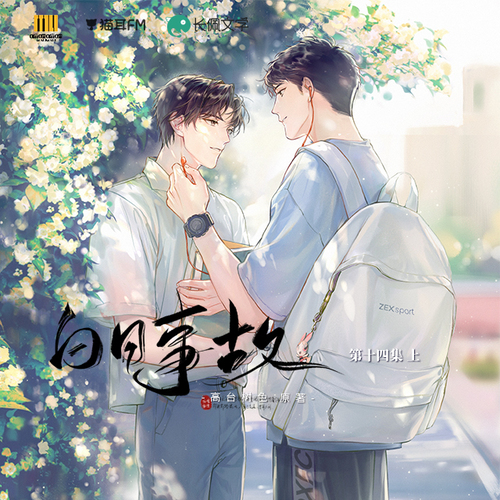 第十四集 上 - 白日事故