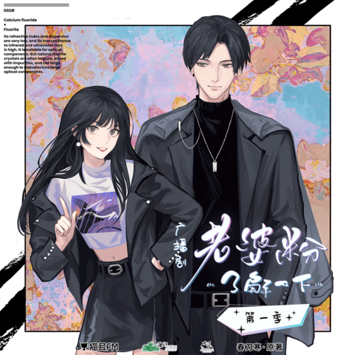 第九集 - 老婆粉瞭解一下 第一季