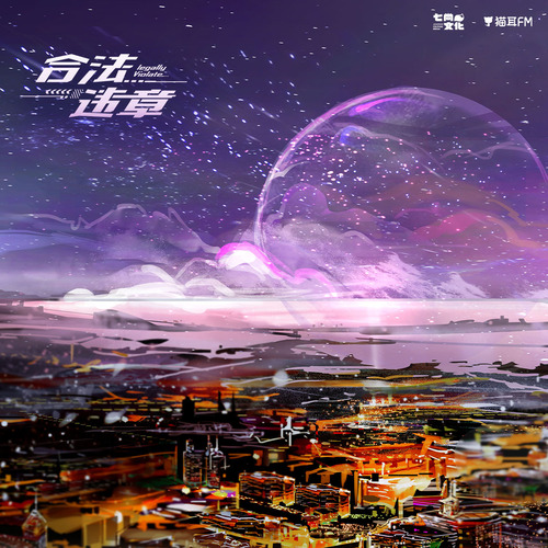 第十五集·戒指 - 合法违章