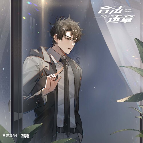 第九集·正果 - 合法违章