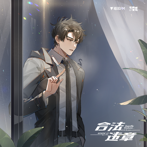 第七集·救星 - 合法违章