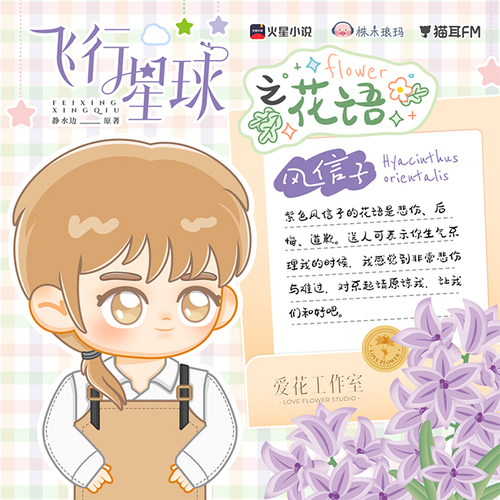 花語·風信子 - 飛行星球