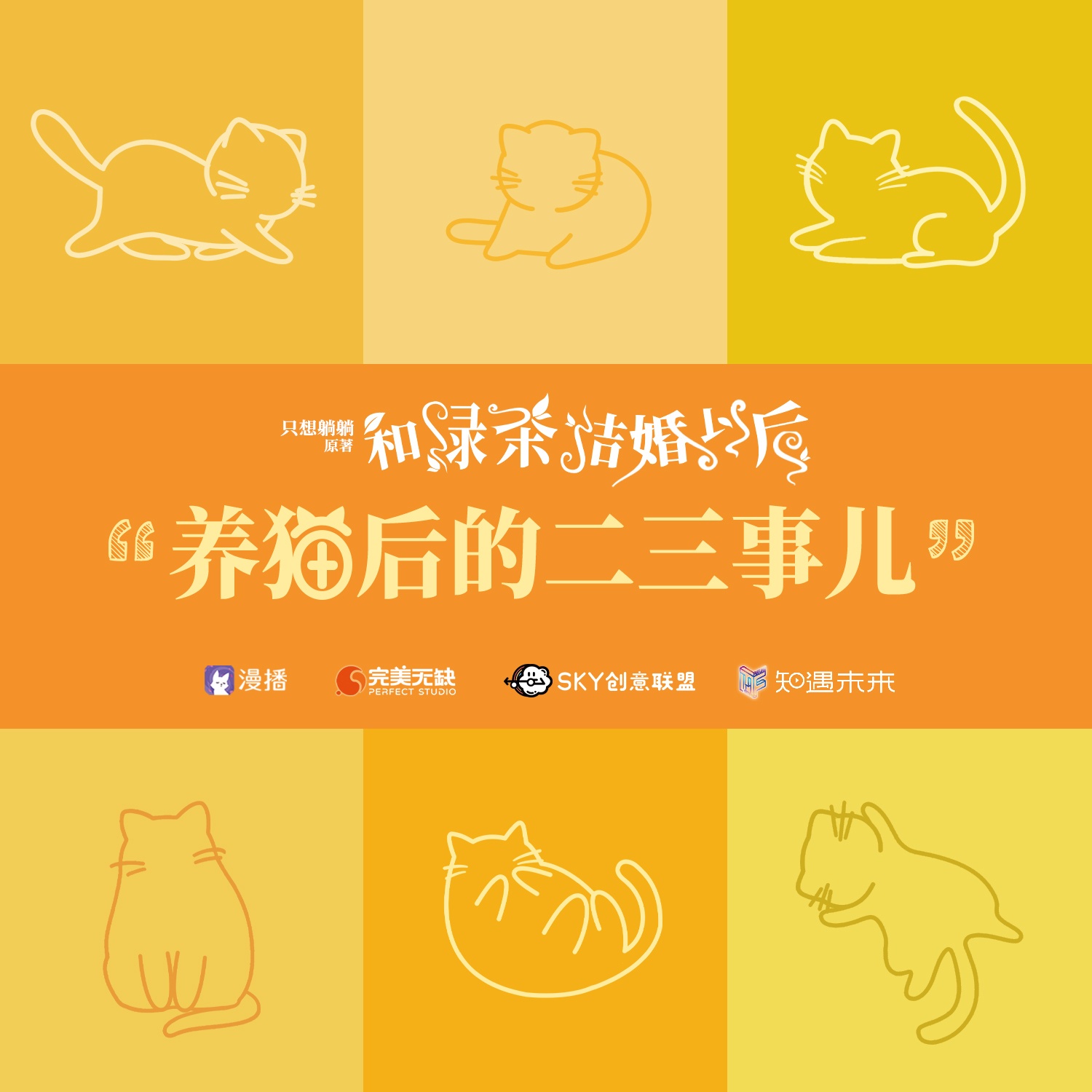 养猫后的二三事儿 - 和绿茶结婚以后