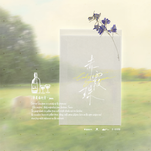 七夕福利音·poem·唐渡 - 赤霞珠