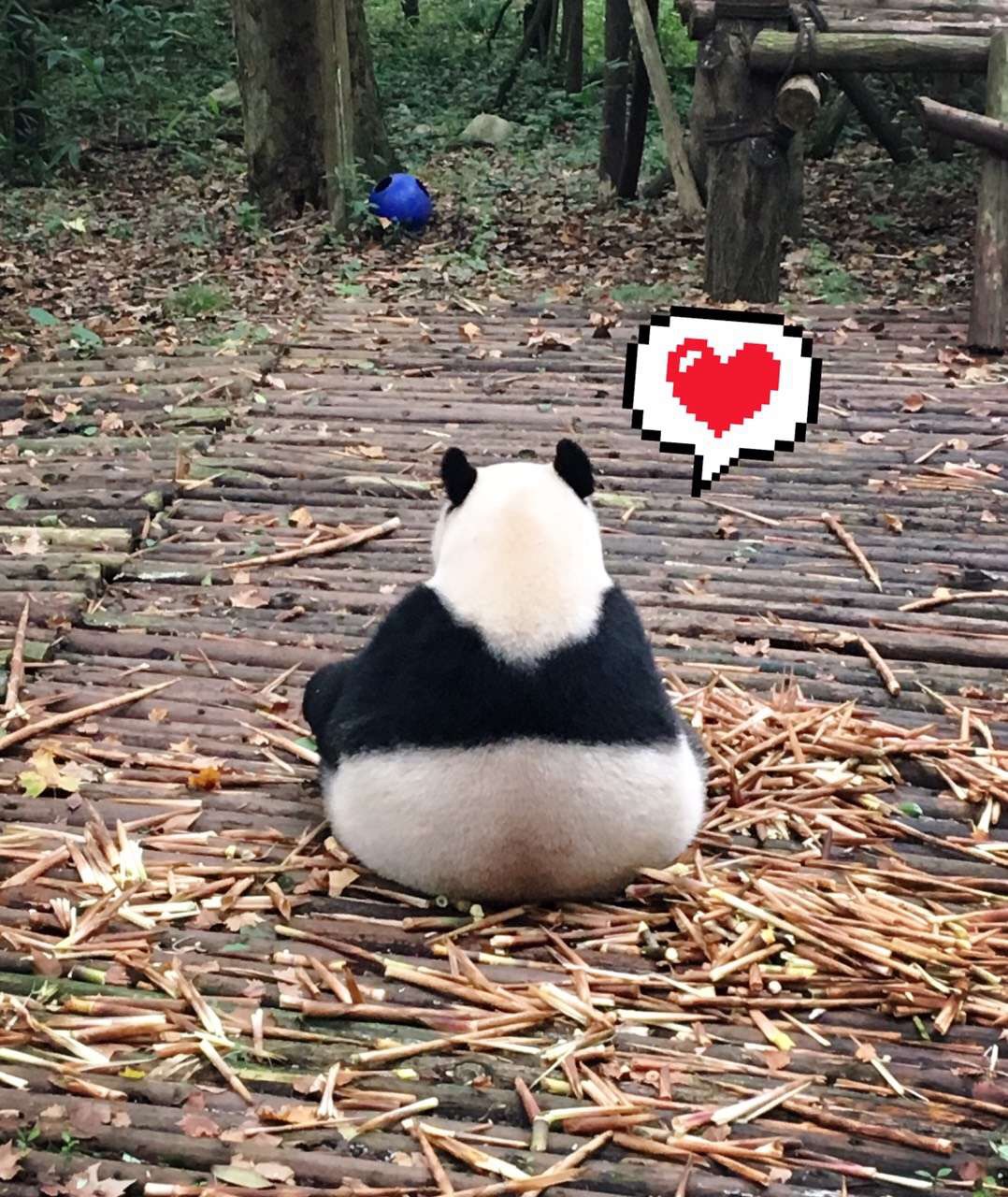 囧森瑟夫