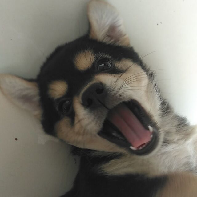 阿慧
