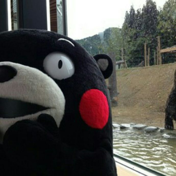 于吉