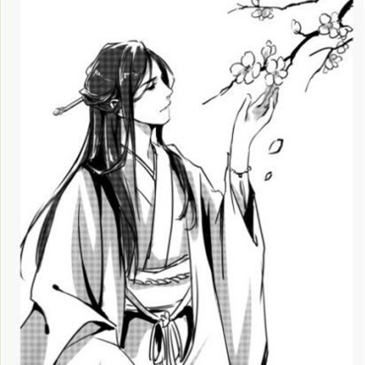 樸楓