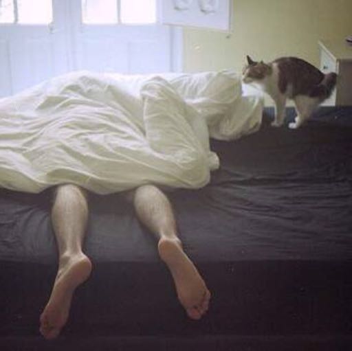 猫抓板