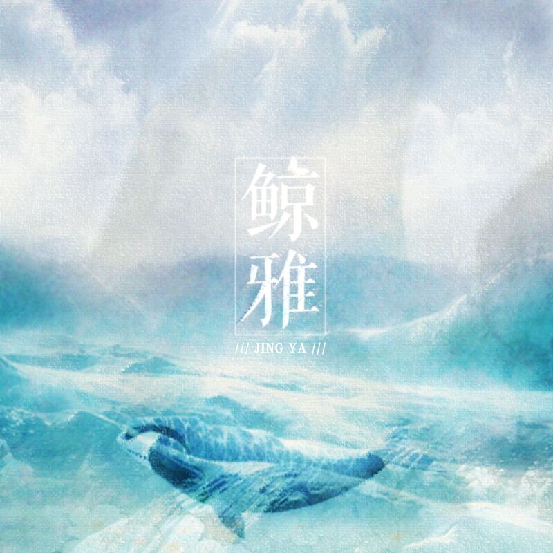 鲸雅Whale