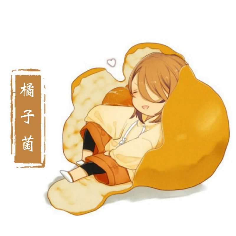 橘子菌