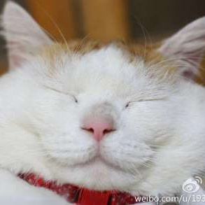 玄霄