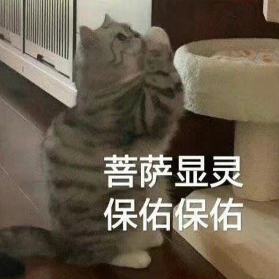 柳悽
