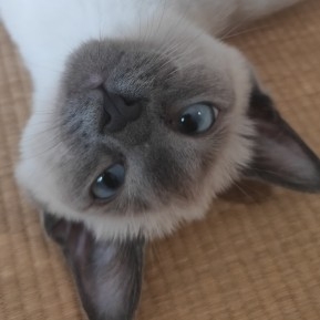 良二