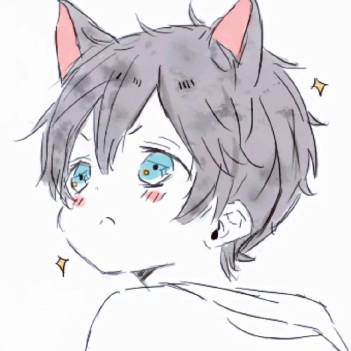 来晓风