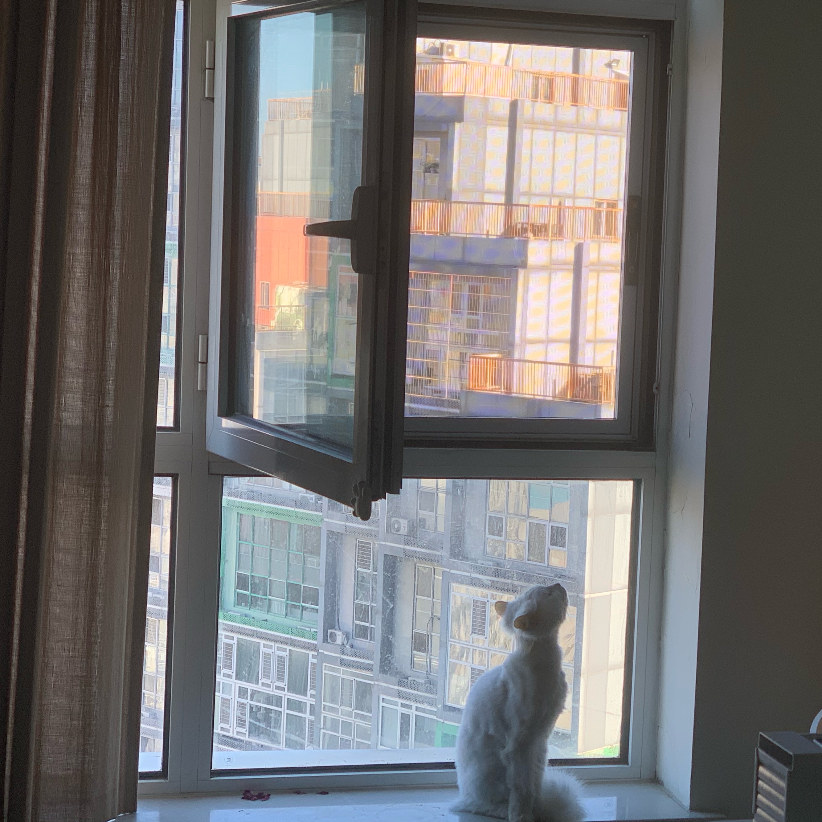 摇滚的黑月光