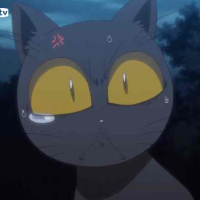 怪兽猪猪滴蹦Momo