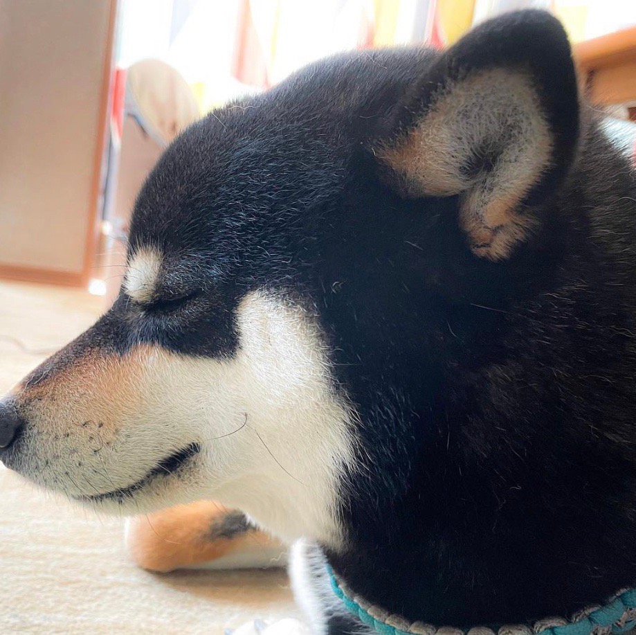 刀刀漏