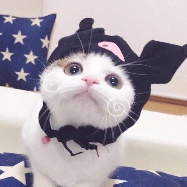 于你清风