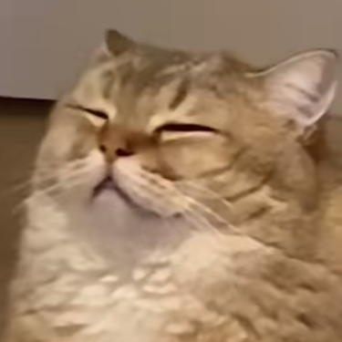 眠韵