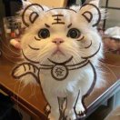 热血小宇宙班班