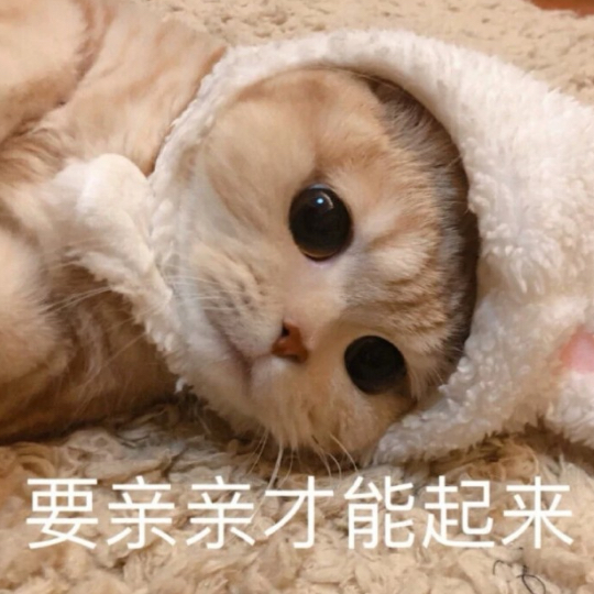 酸味儿豆小沙