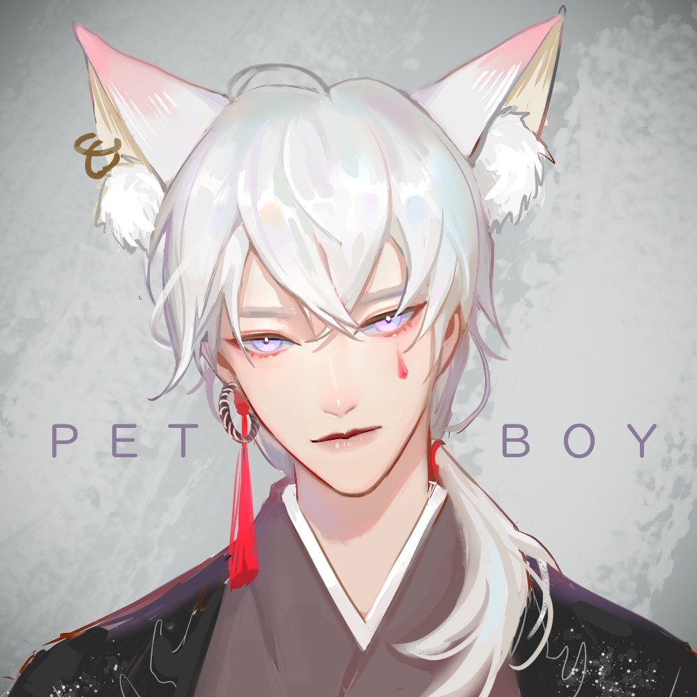 CV-Petboy