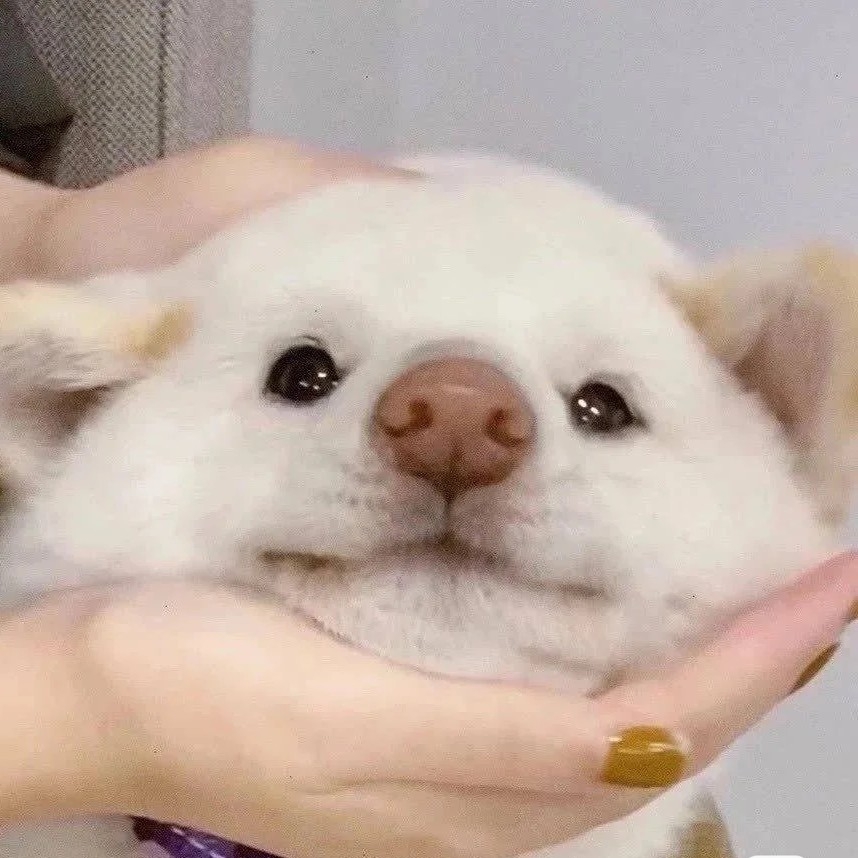 霽然然然