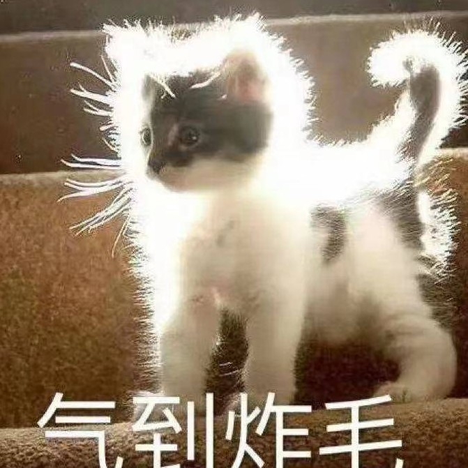 Mx_长聿