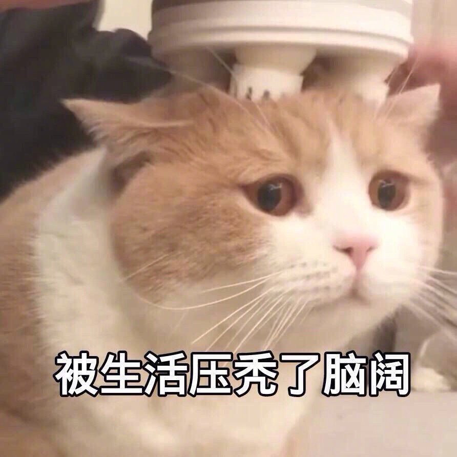 五行不缺土垚垚