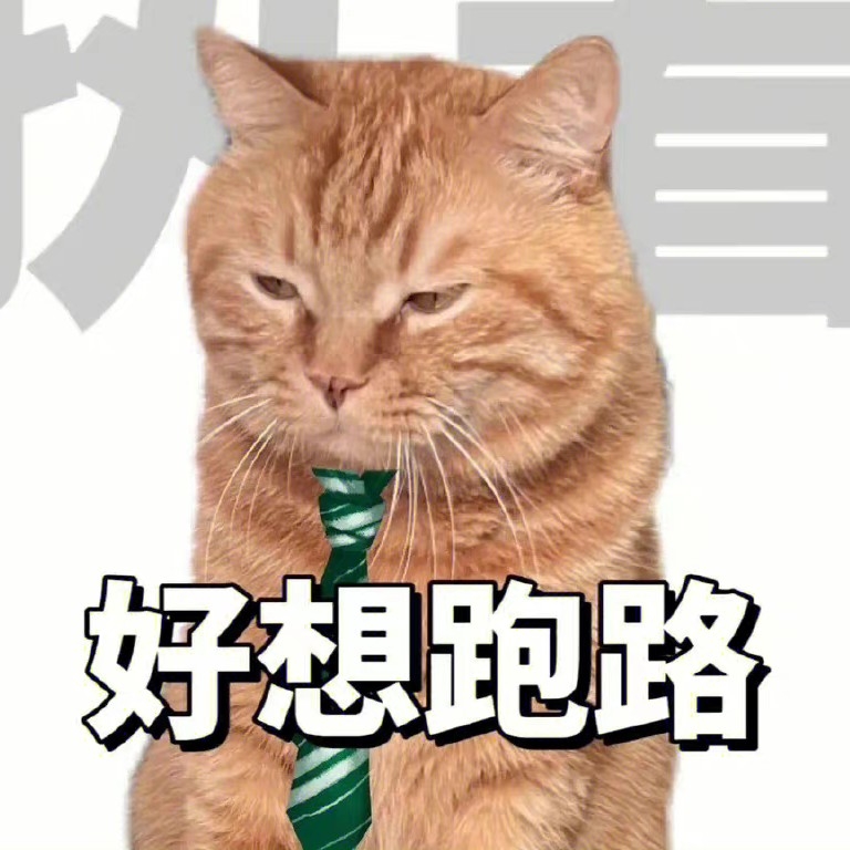 貓S
