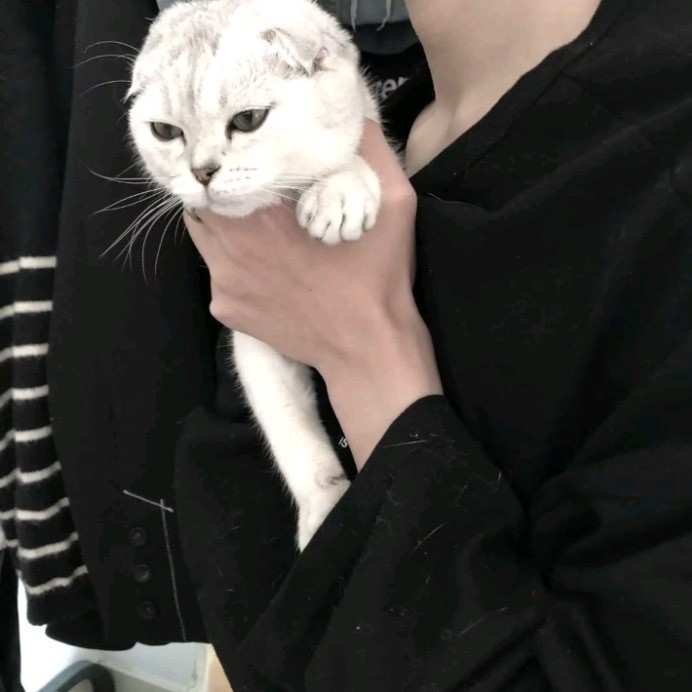 屹川。