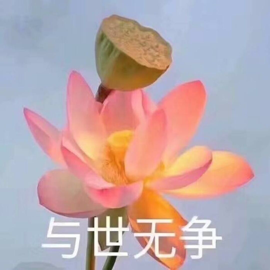 十一二三五七